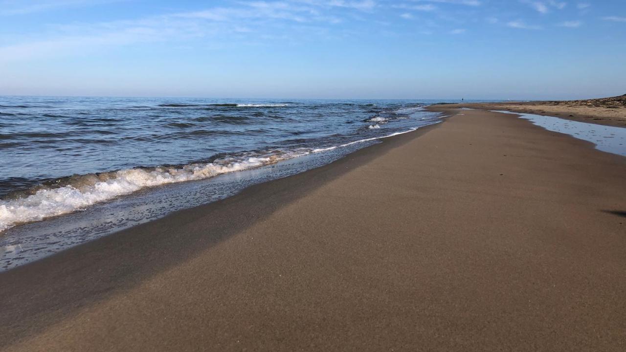 Feriendorf Rugana Insel Ruegen Fewos Vogelgesang 德兰斯克 外观 照片